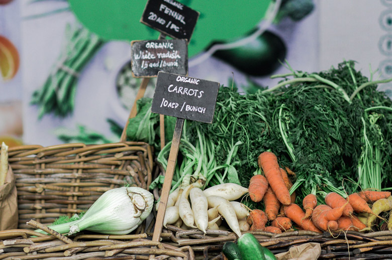 เทรนด์สุขภาพ กับเมนู Plant-Based Protein